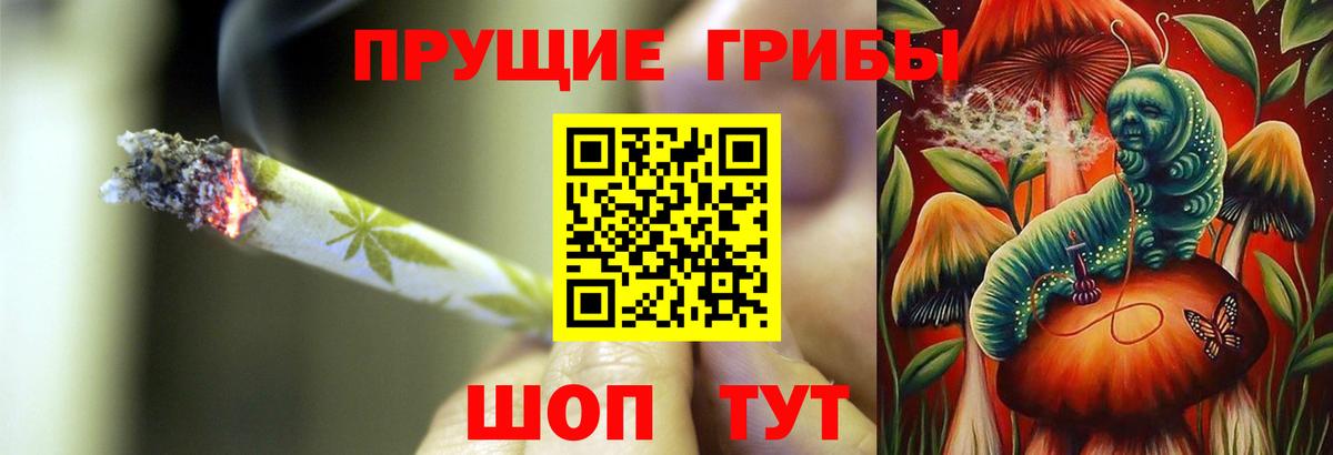 Чайковский  купить   Вход с VPN  Галлюциногенные грибы Psilocybe  Галлюциногенные грибы Psilocybine cubensis 