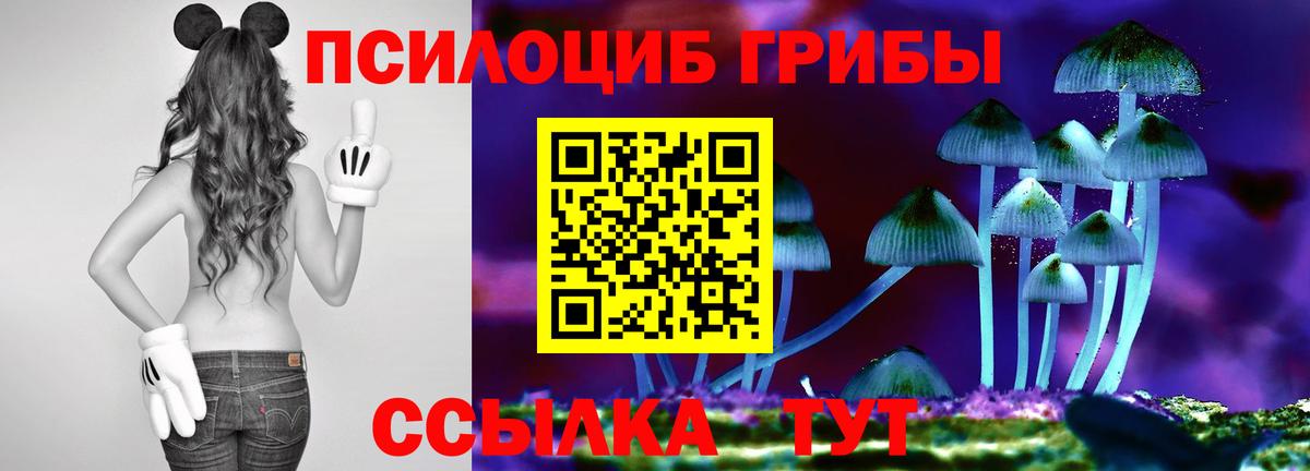 Галлюциногенные грибы Magic Shrooms Чайковский